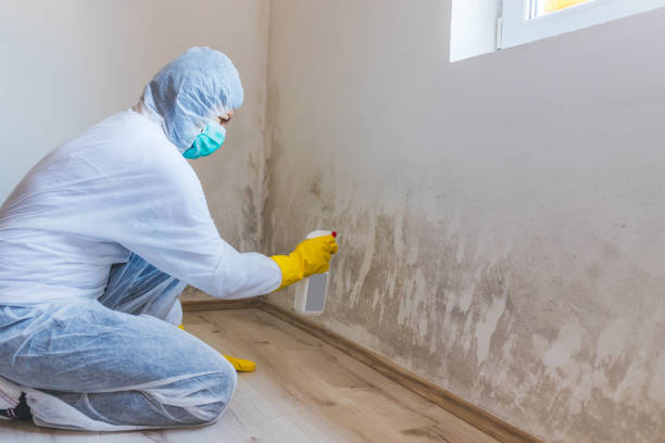 Licensed Crawl Space Mold Remediation service in Union, NJ - 24 Hour Mold Removal