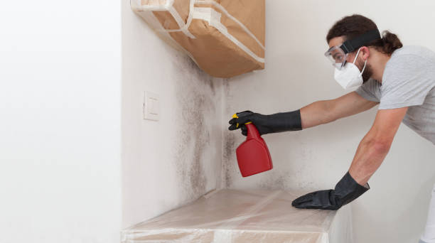 Professional Crawl Space Mold Remediation technician working in Union, NJ