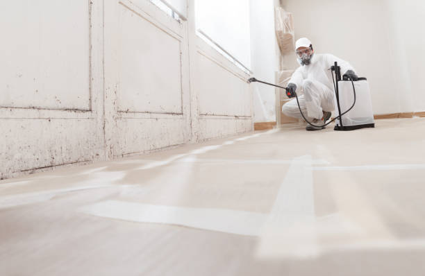 24/7 Emergency Crawl Space Mold Remediation experts in Union, NJ