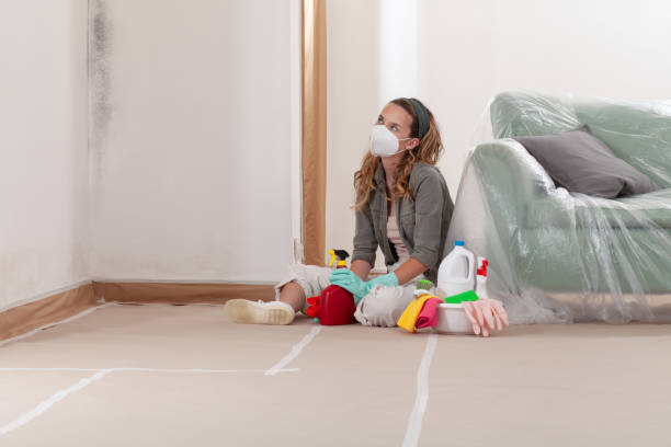Reliable Crawl Space Mold Remediation contractor in Union, NJ by 24 Hour Mold Removal