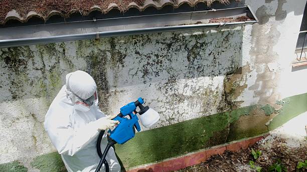 Top rated local Crawl Space Mold Remediation specialists in Union, NJ